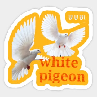 white pegeon Sticker